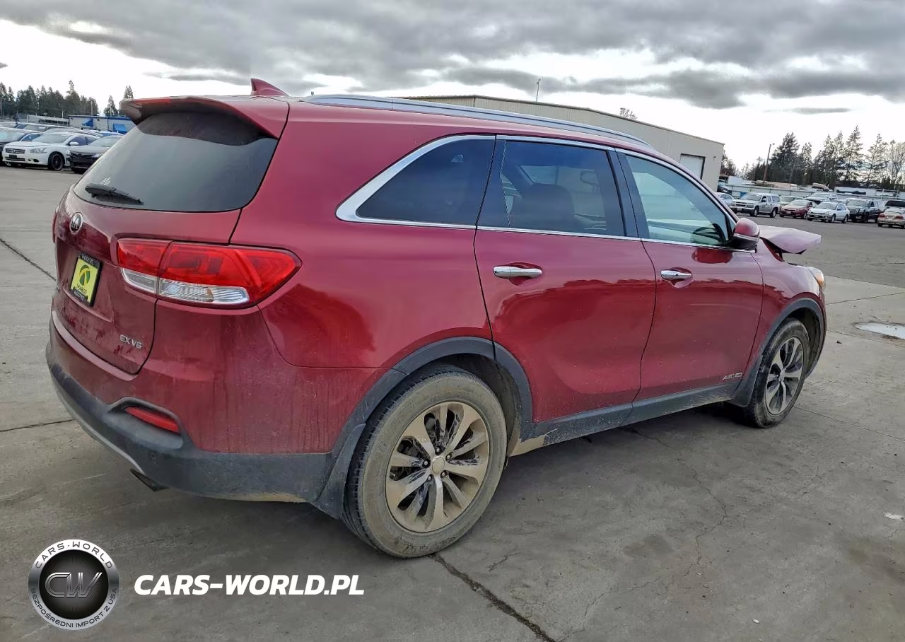 2017 Kia Sorento Ex VIN:5XYPHDA55HG247965 - 3