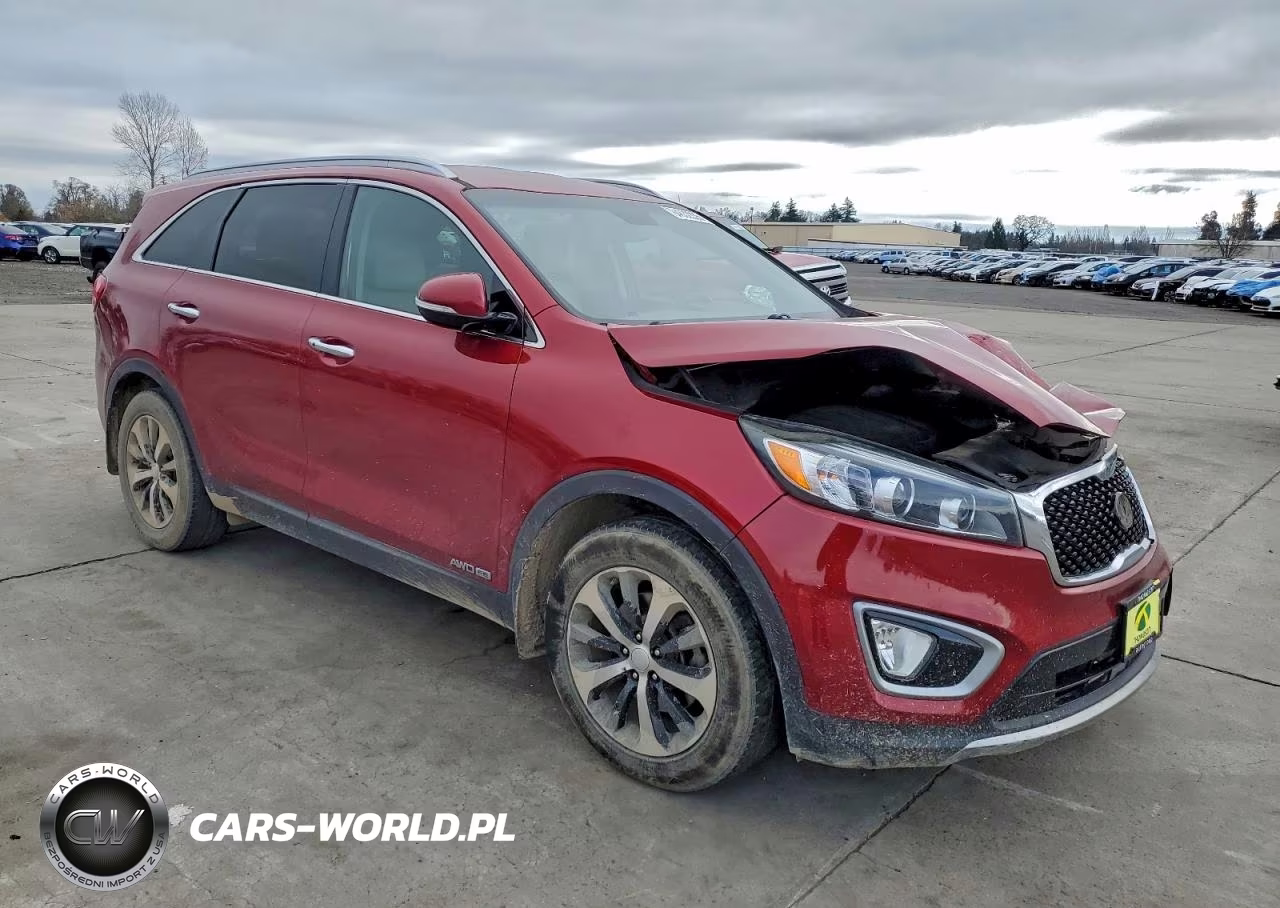 2017 Kia Sorento Ex VIN:5XYPHDA55HG247965 - 4
