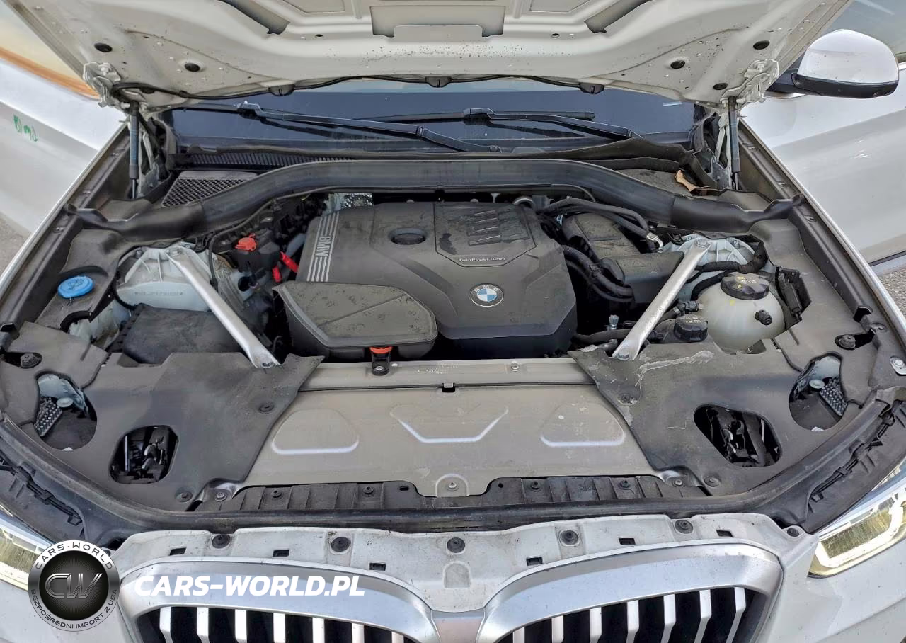 2023 BMW X3 Sdrive30I VIN:5UX43DP04P9R88068 - 11