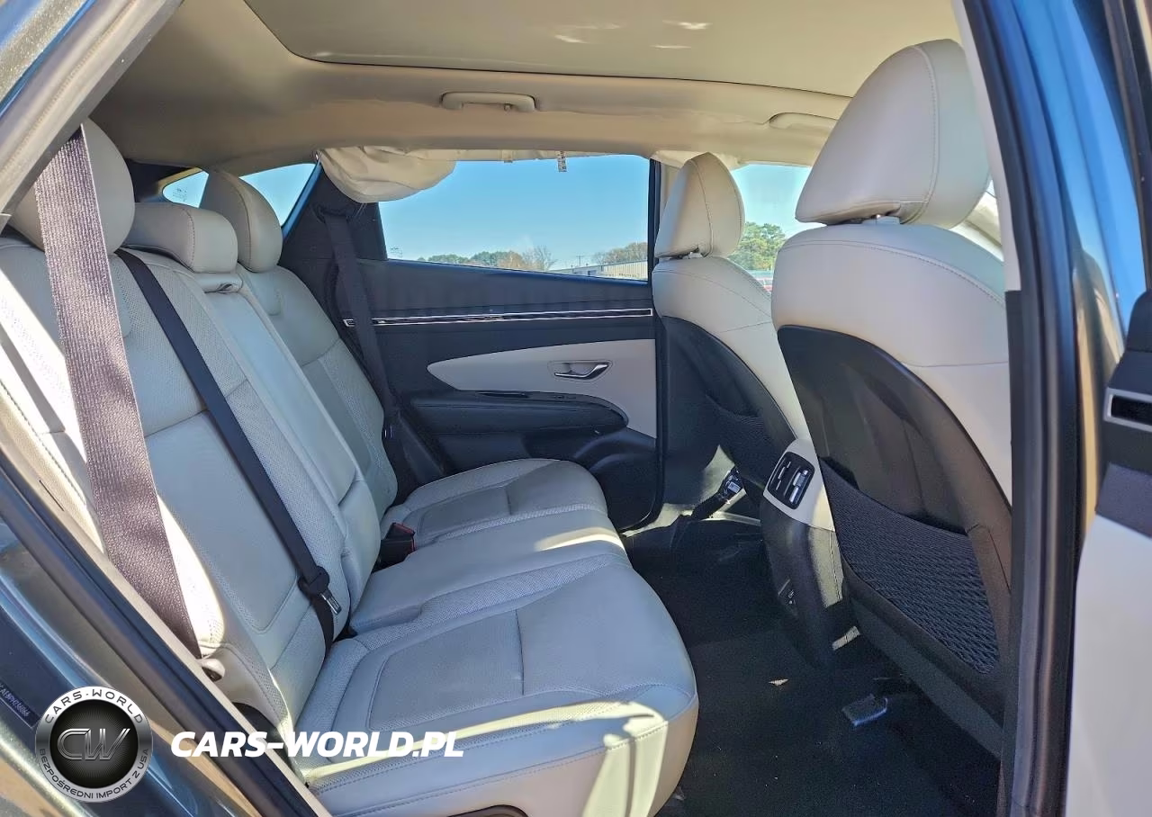 2023 Hyundai Tucson Limited VIN:5NMJECAE8PH236066 - 11