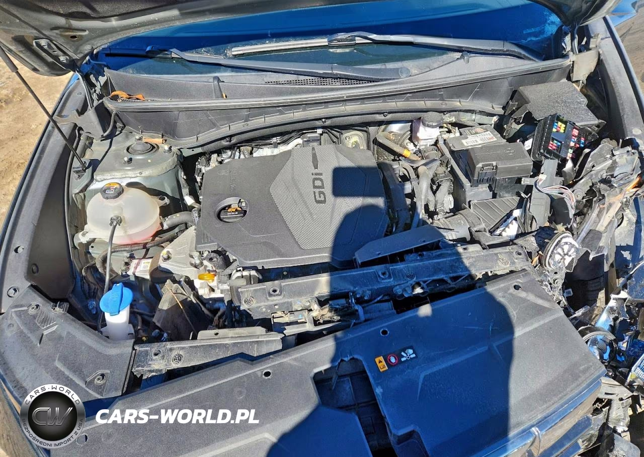 2023 Hyundai Tucson Limited VIN:5NMJECAE8PH236066 - 12