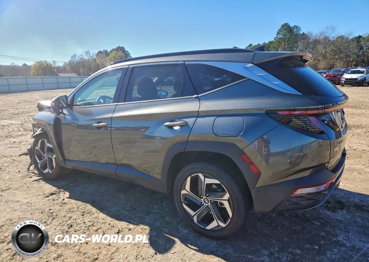 2023 Hyundai Tucson Limited VIN:5NMJECAE8PH236066 - 2