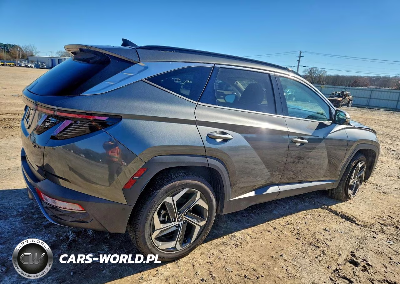 2023 Hyundai Tucson Limited VIN:5NMJECAE8PH236066 - 3