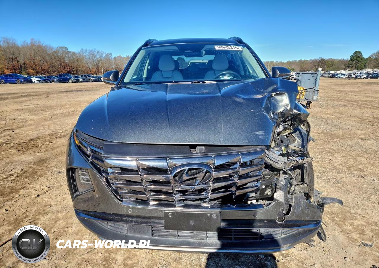 2023 Hyundai Tucson Limited VIN:5NMJECAE8PH236066 - 5