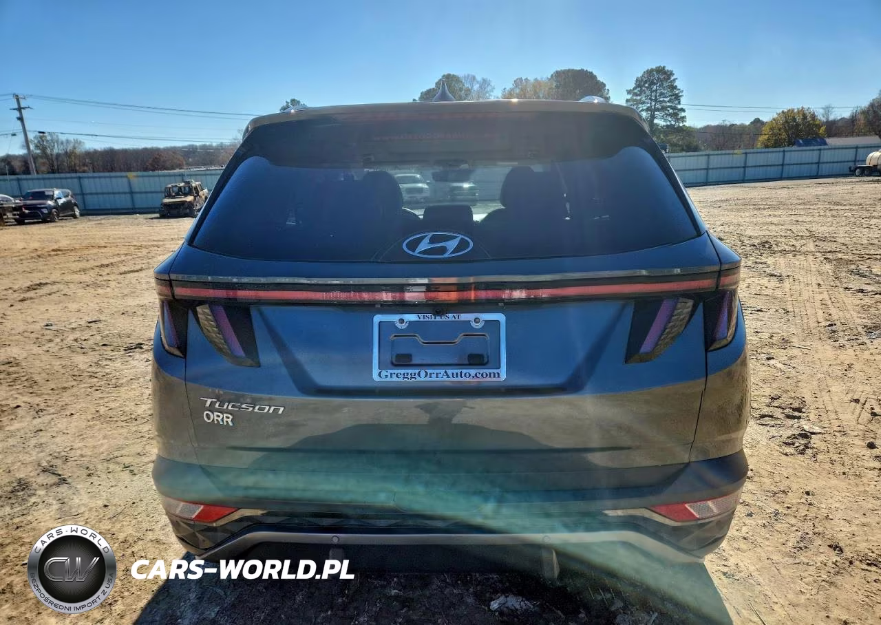 2023 Hyundai Tucson Limited VIN:5NMJECAE8PH236066 - 6