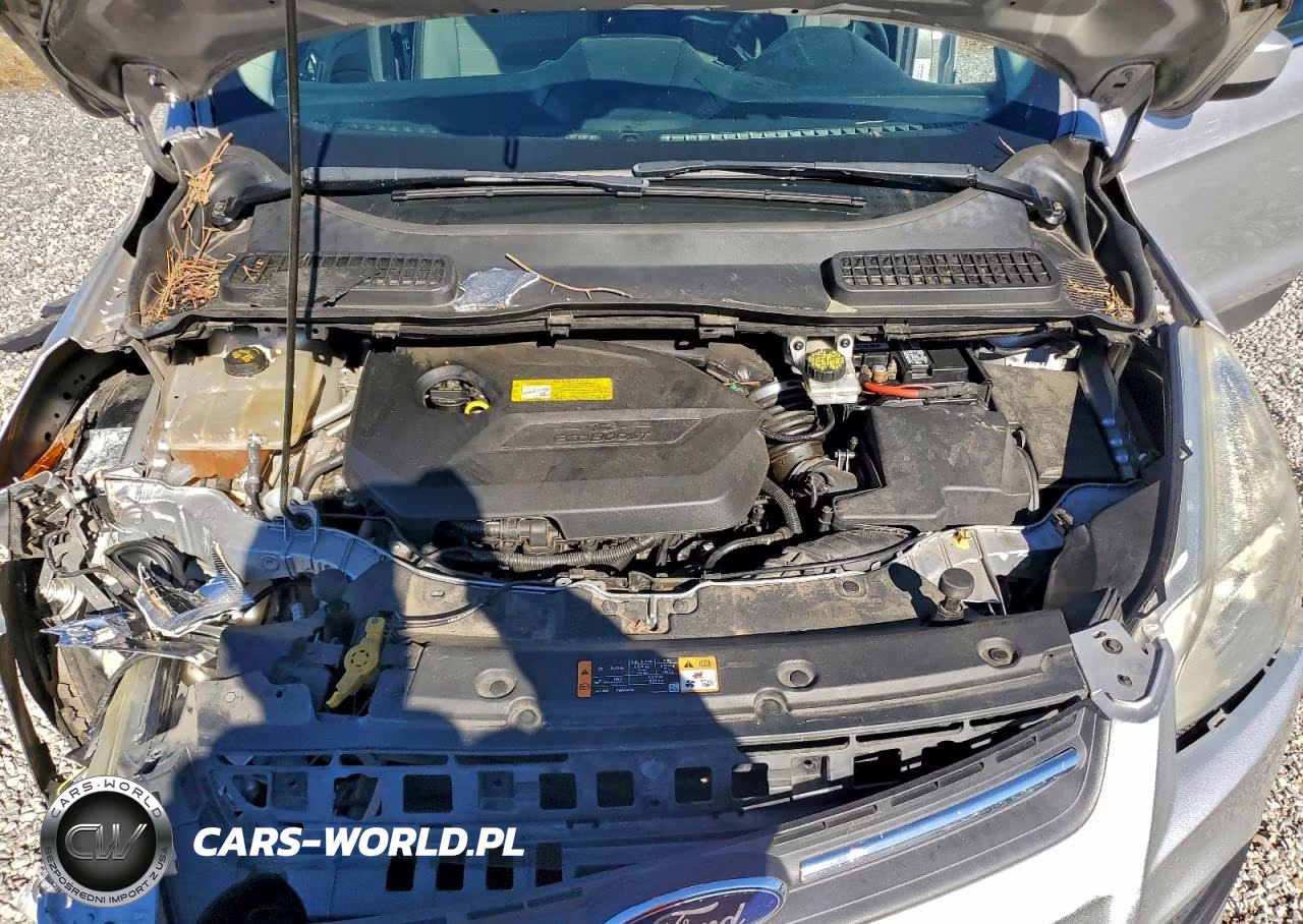 2016 Ford Escape Se VIN:1FMCU0GX1GUC23781 - 12