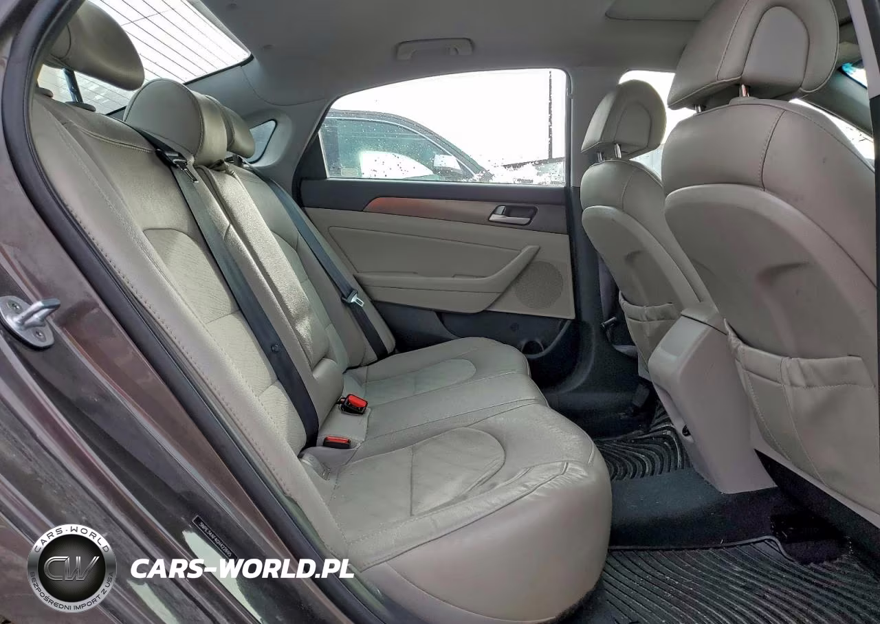 2016 Hyundai Sonata Sport VIN:5NPE34AF4GH422695 - 10