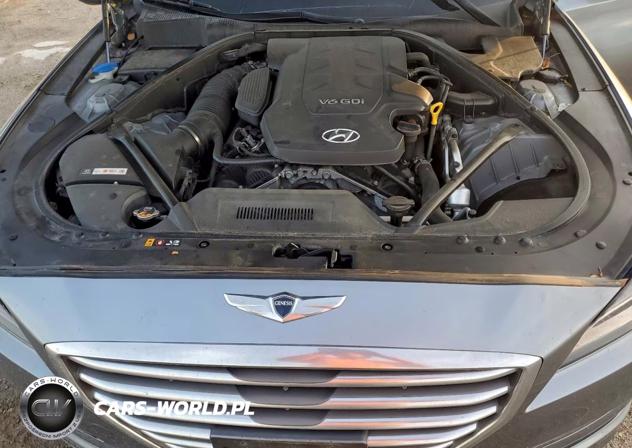 2016 Hyundai Genesis 3.8L VIN:KMHGN4JE6GU111796 - 11