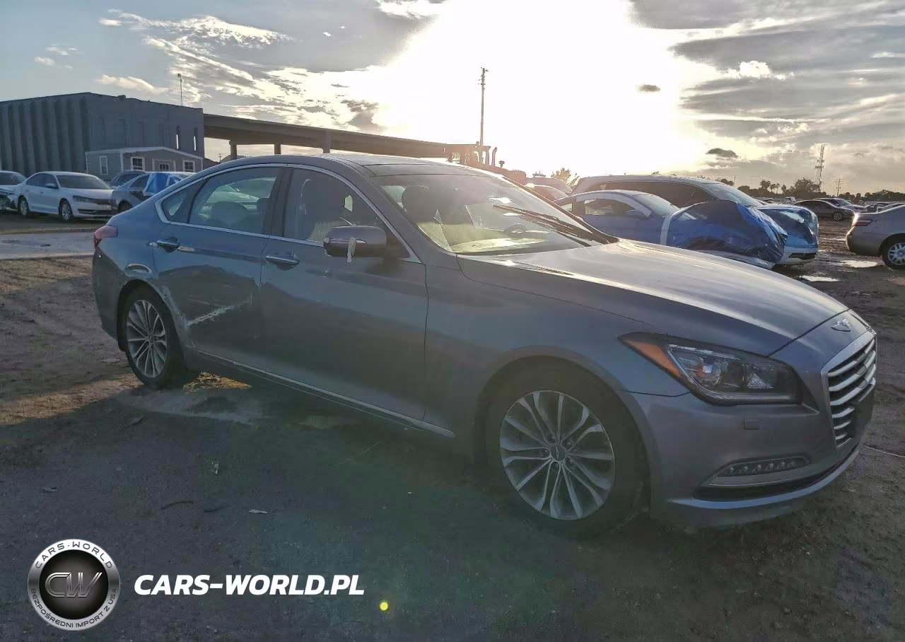 2016 Hyundai Genesis 3.8L VIN:KMHGN4JE6GU111796 - 4