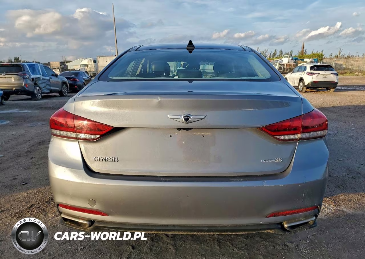 2016 Hyundai Genesis 3.8L VIN:KMHGN4JE6GU111796 - 6