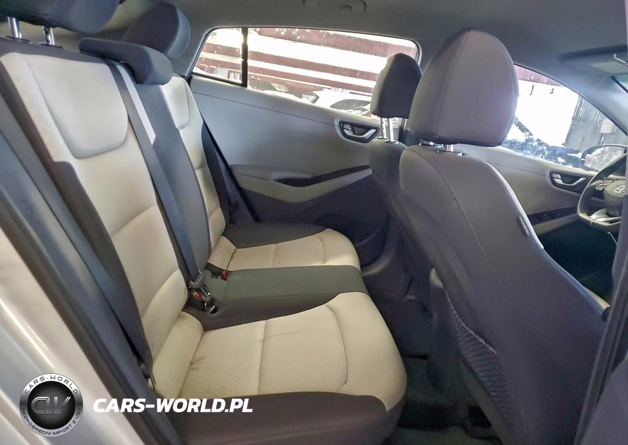 2019 Hyundai Ioniq Blue VIN:KMHC65LCXKU156830 - 10