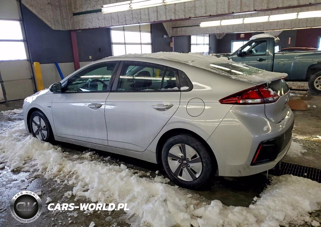 2019 Hyundai Ioniq Blue VIN:KMHC65LCXKU156830 - 2