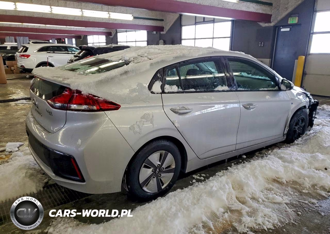 2019 Hyundai Ioniq Blue VIN:KMHC65LCXKU156830 - 3
