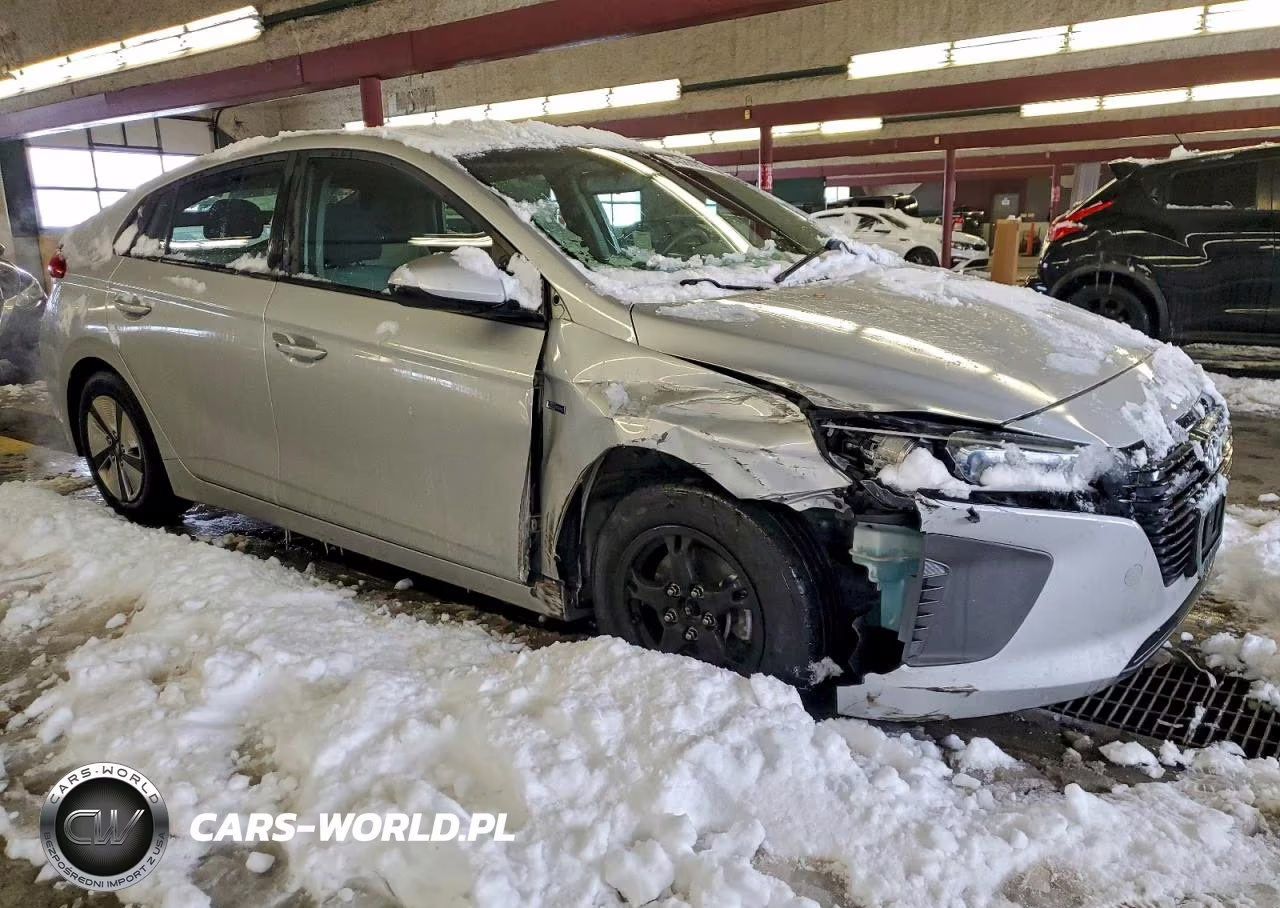 2019 Hyundai Ioniq Blue VIN:KMHC65LCXKU156830 - 4