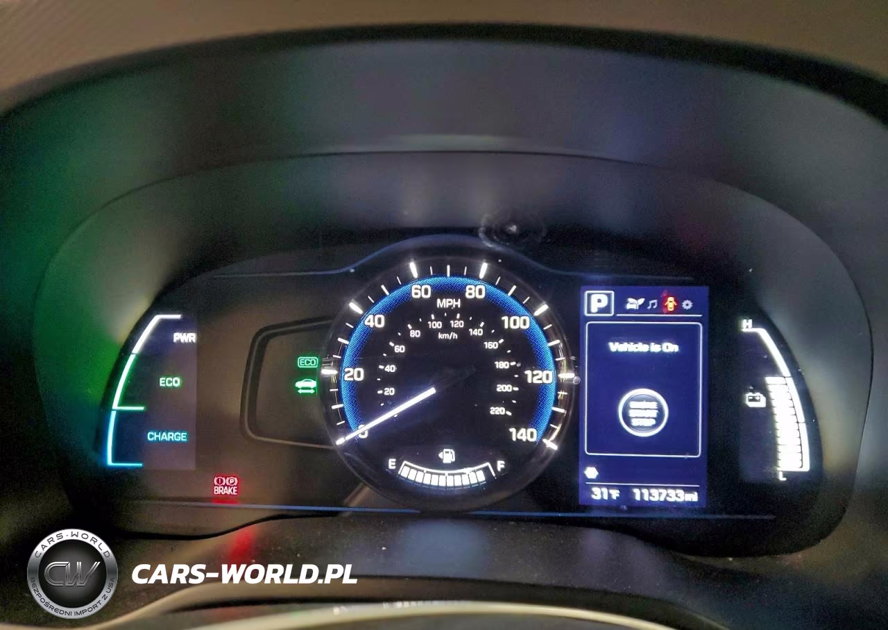 2019 Hyundai Ioniq Blue VIN:KMHC65LCXKU156830 - 9