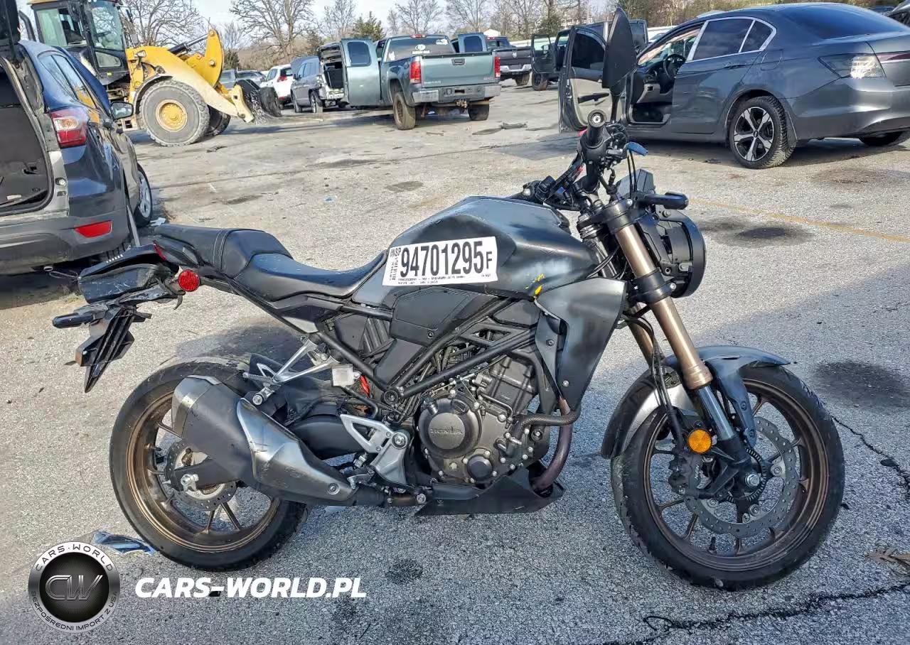 2024 Honda Cbf300 Na