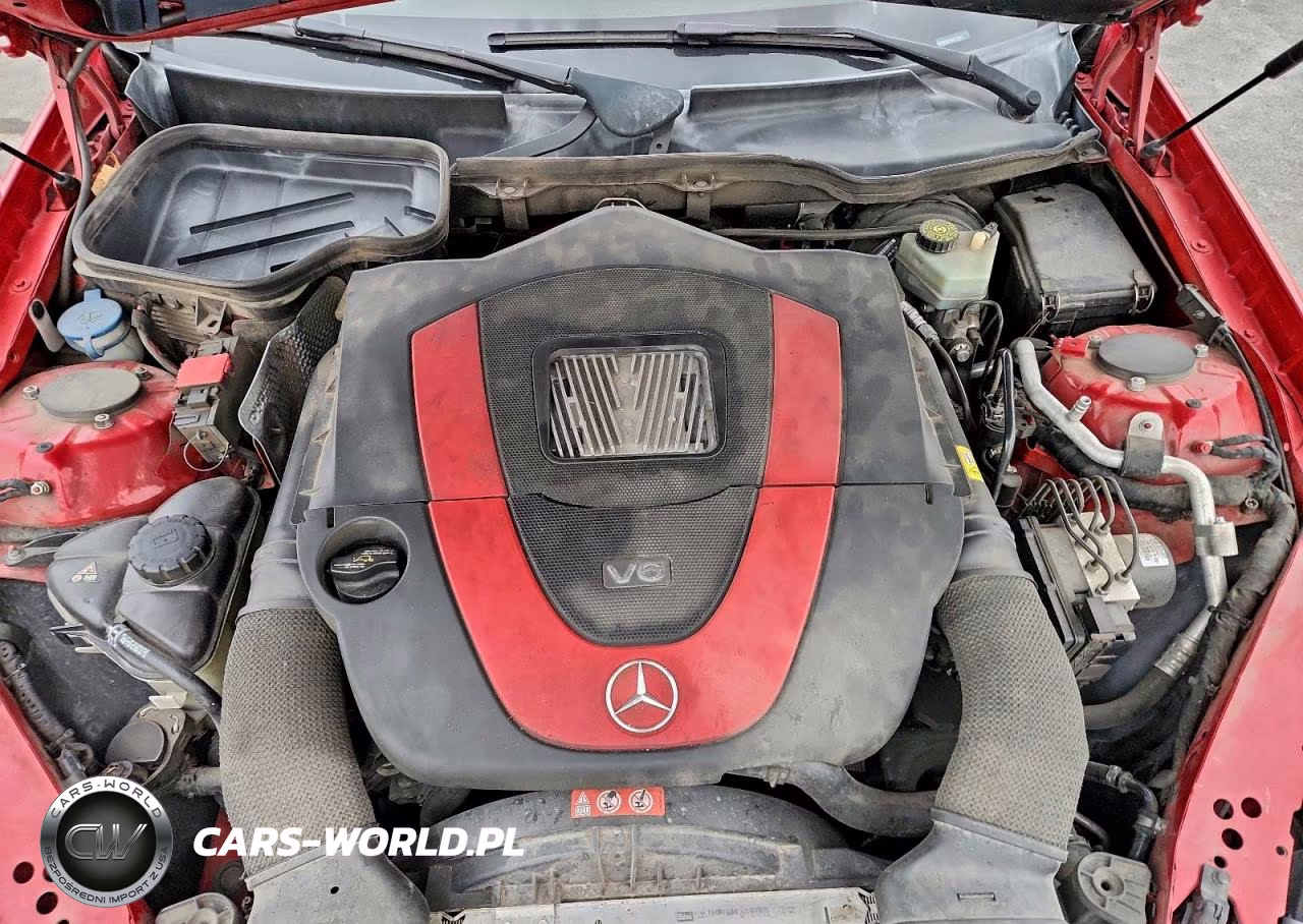 2009 Mercedes-Benz Slk 350 VIN:WDBWK58F49F191117 - 11