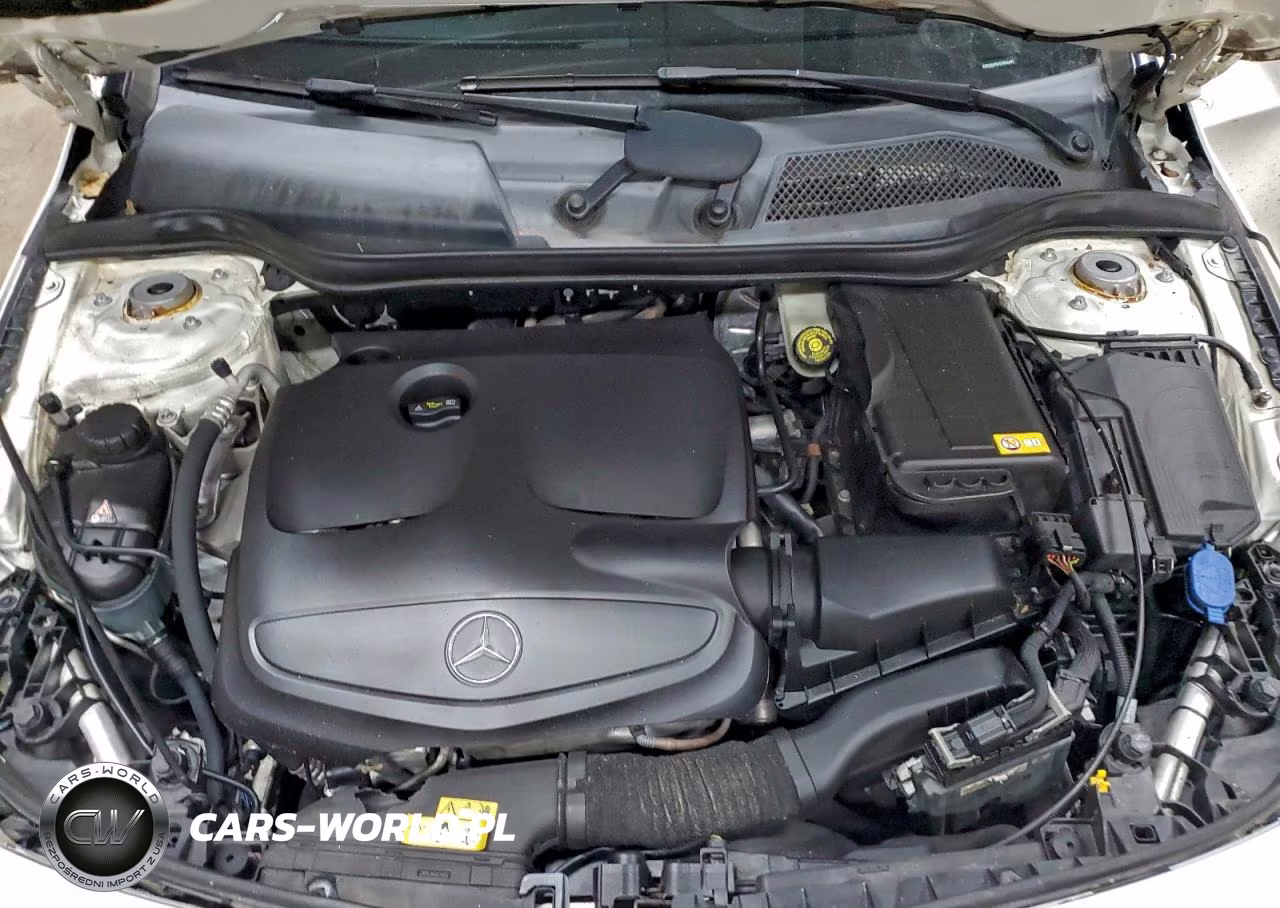 2014 Mercedes-Benz Cla 250 VIN:WDDSJ4EB4EN056692 - 11