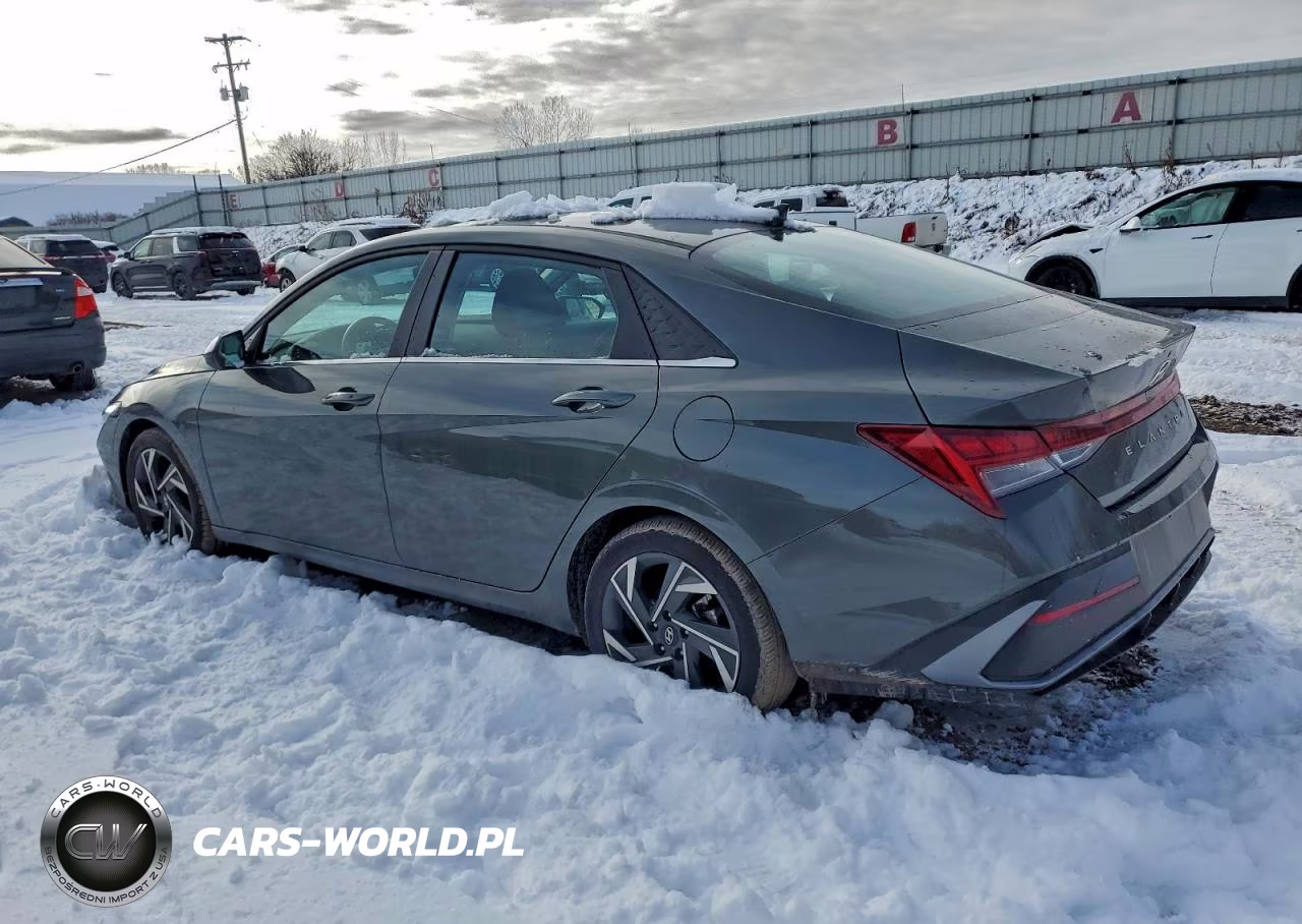 2024 Hyundai Elantra Sel VIN:KMHLS4DG5RU720255 - 2