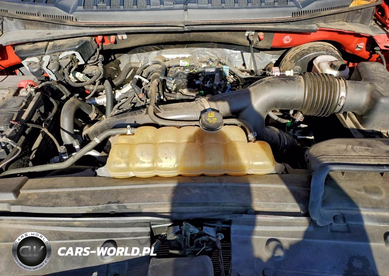 2020 Ford F150 Supercrew VIN:1FTEW1CP6LFA05496 - 11