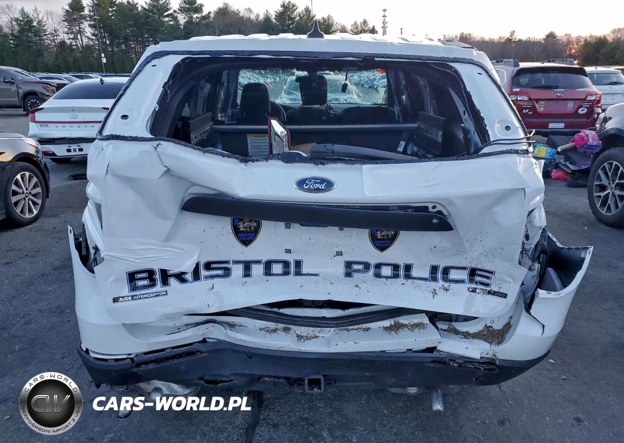 2023 Ford Explorer Police Interceptor VIN:1FM5K8AW5PNA09612 - 6