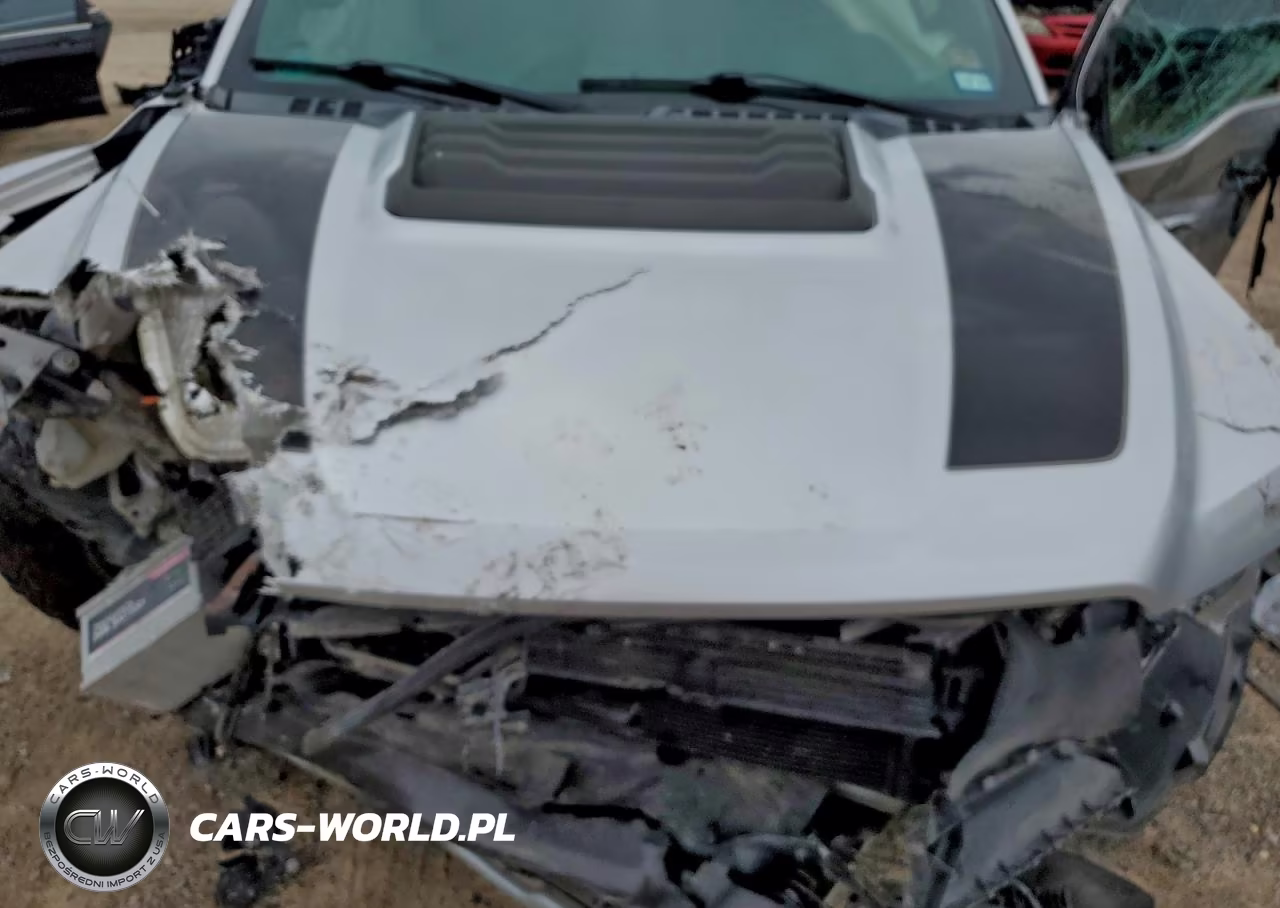 2018 Ford F150 Raptor VIN:1FTFW1RG6JFD73623 - 11