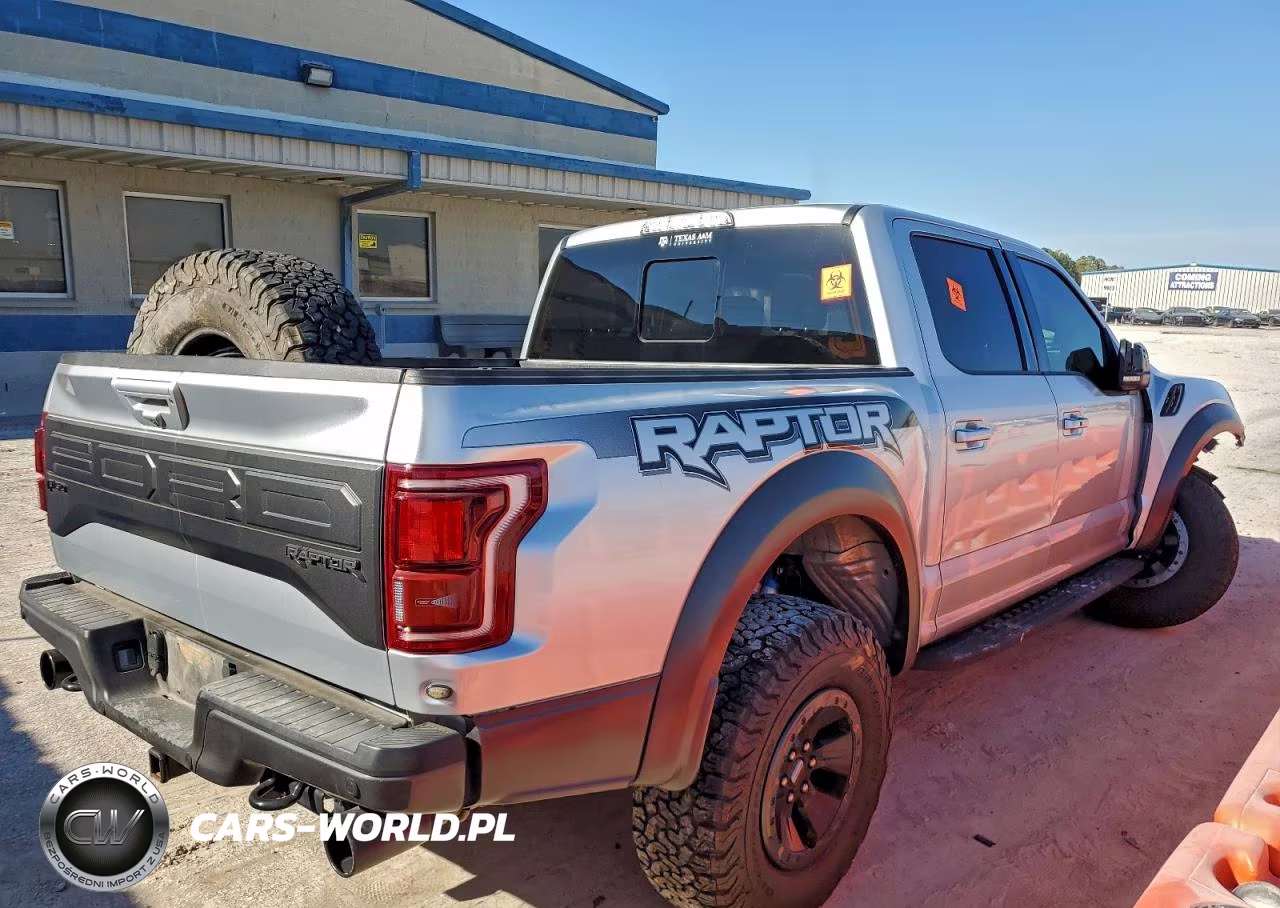 2018 Ford F150 Raptor VIN:1FTFW1RG6JFD73623 - 3