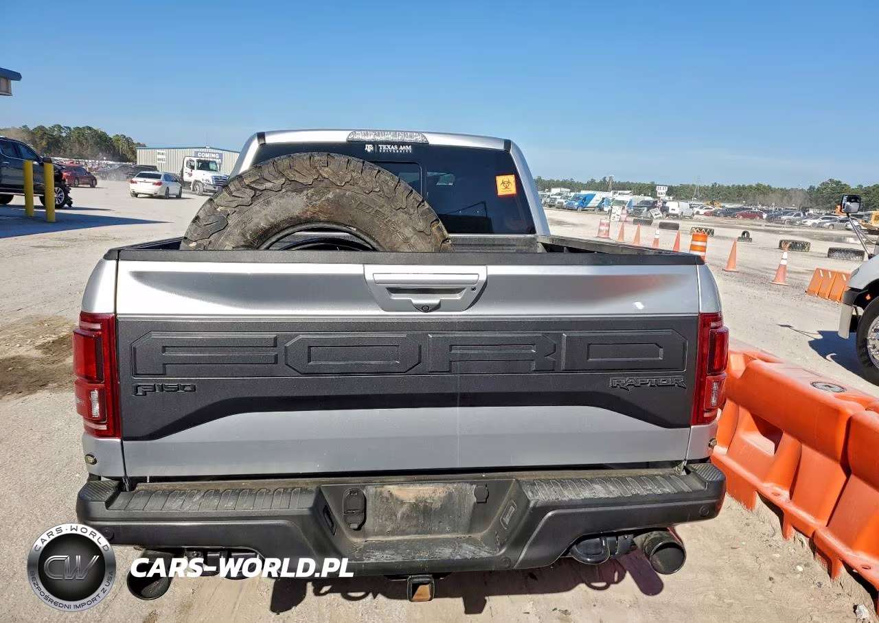 2018 Ford F150 Raptor VIN:1FTFW1RG6JFD73623 - 6