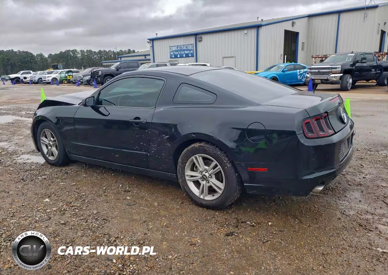 2014 Ford Mustang VIN:1ZVBP8AM6E5251228 - 2