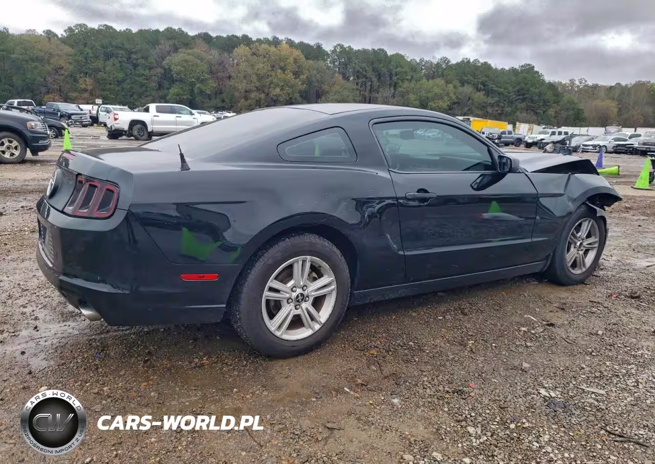 2014 Ford Mustang VIN:1ZVBP8AM6E5251228 - 3