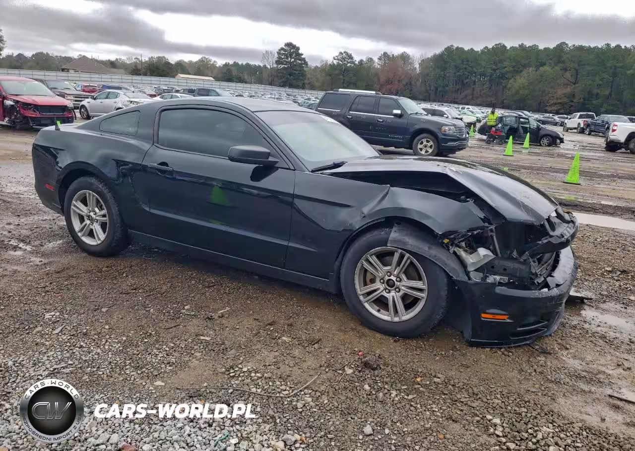 2014 Ford Mustang VIN:1ZVBP8AM6E5251228 - 4