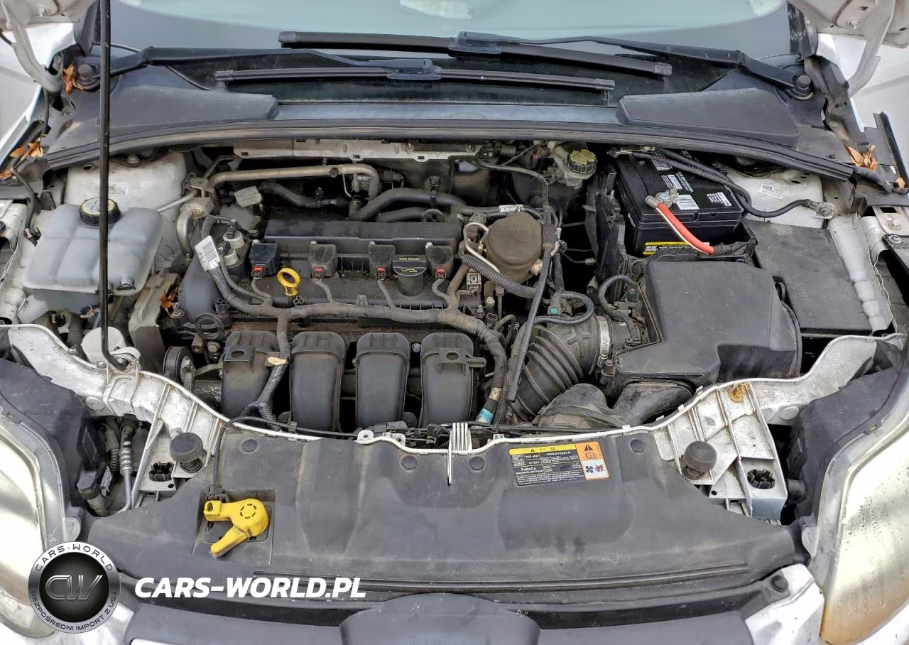 2013 Ford Focus Se VIN:1FADP3F20DL269505 - 11