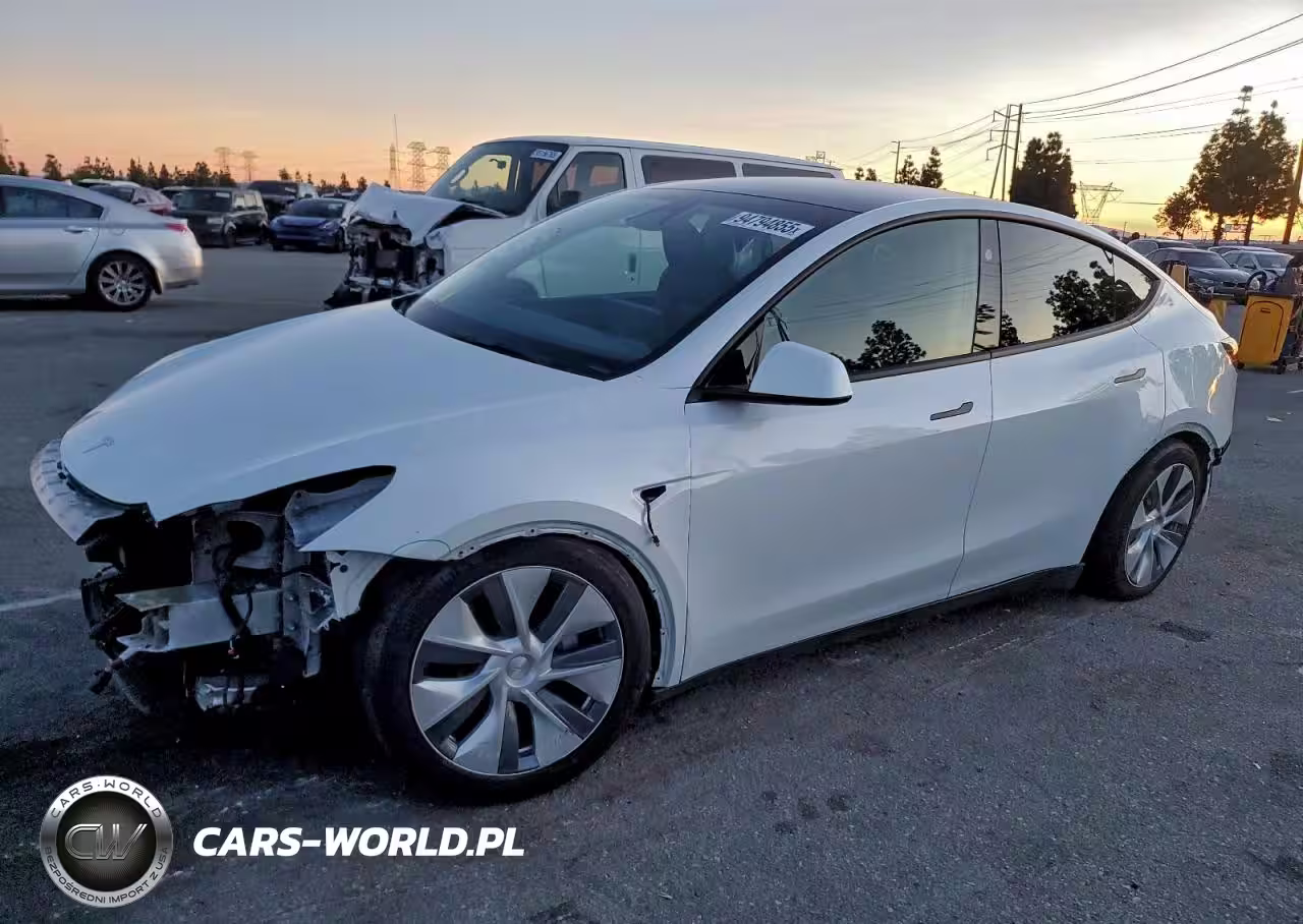 2024 Tesla Model Y