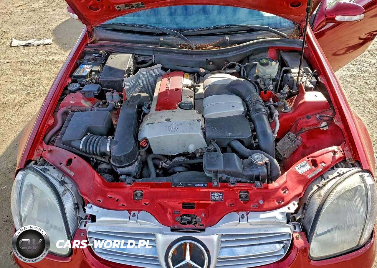 2004 Mercedes-Benz Slk VIN:WDBKK49F34F302434 - 11