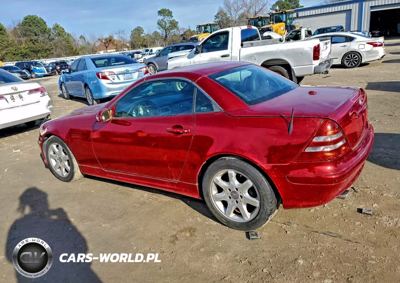 2004 Mercedes-Benz Slk VIN:WDBKK49F34F302434 - 2