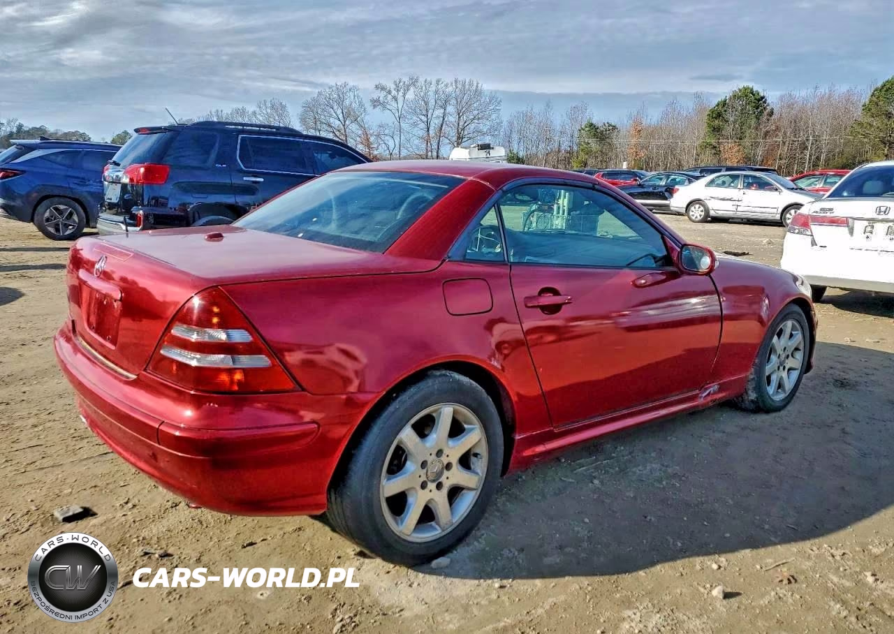 2004 Mercedes-Benz Slk VIN:WDBKK49F34F302434 - 3