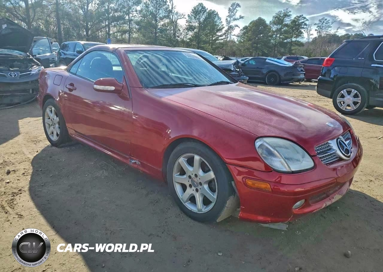 2004 Mercedes-Benz Slk VIN:WDBKK49F34F302434 - 4