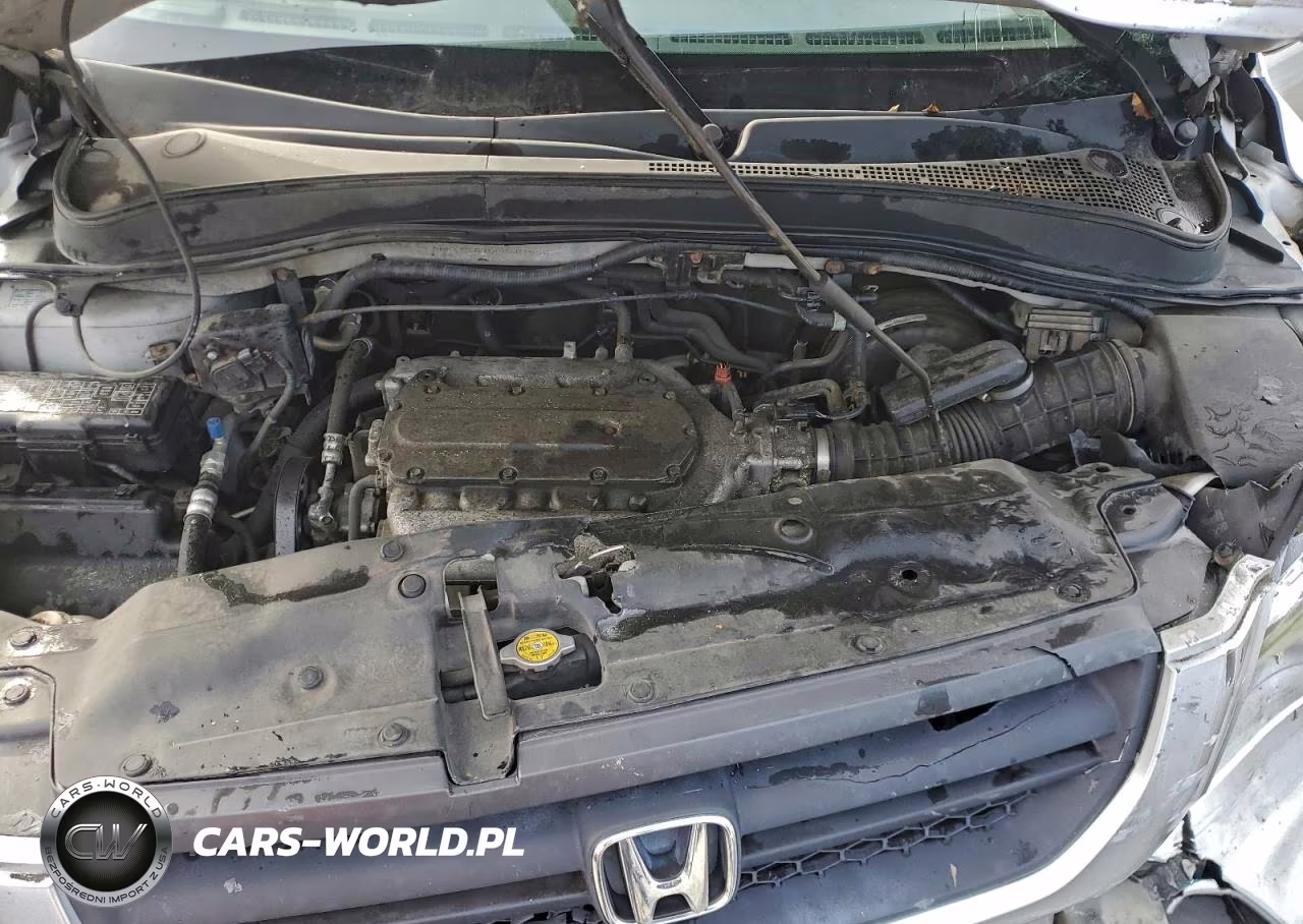 2005 Honda Pilot Exl VIN:2HKYF18755H561555 - 12