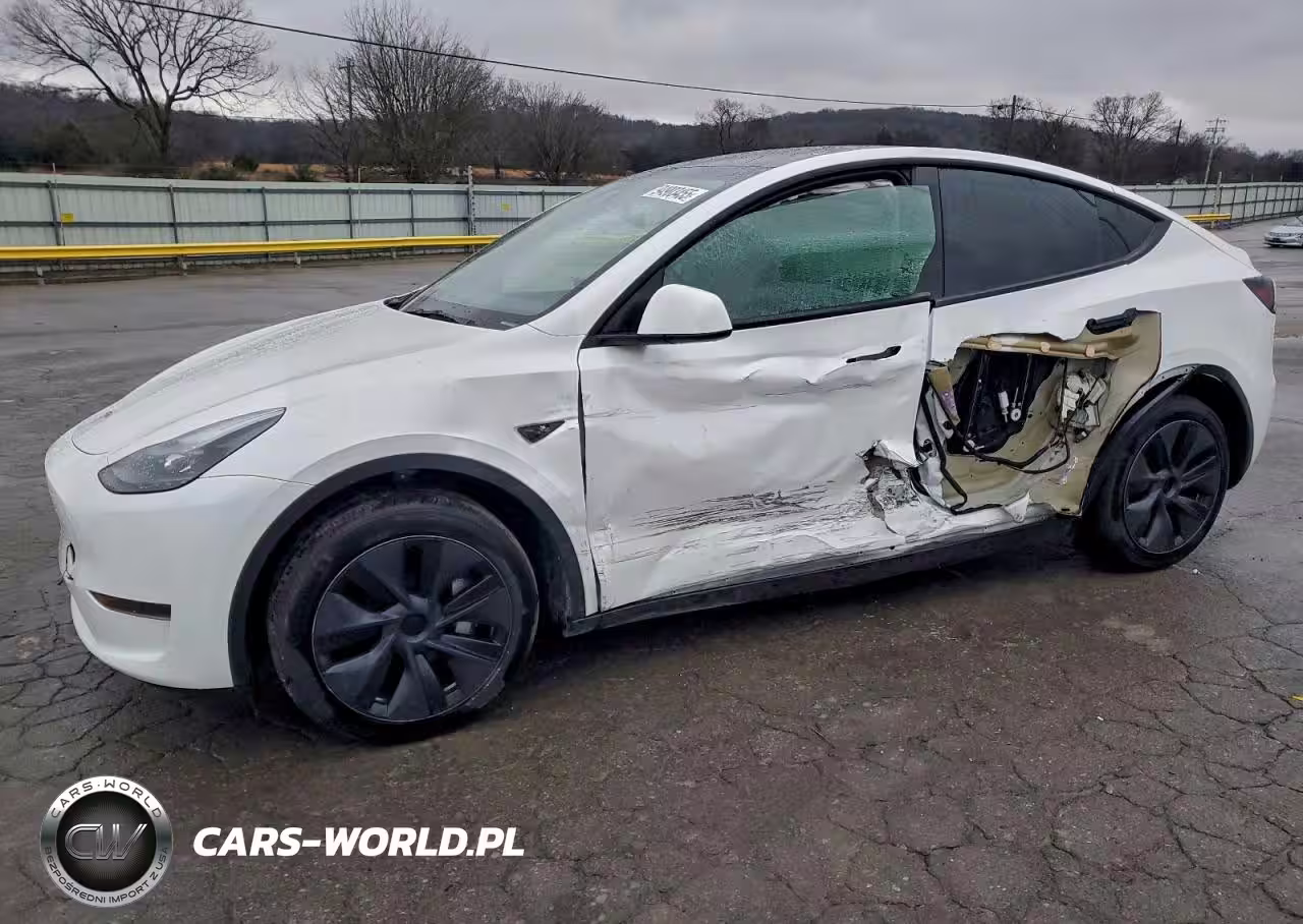 2024 Tesla Model Y