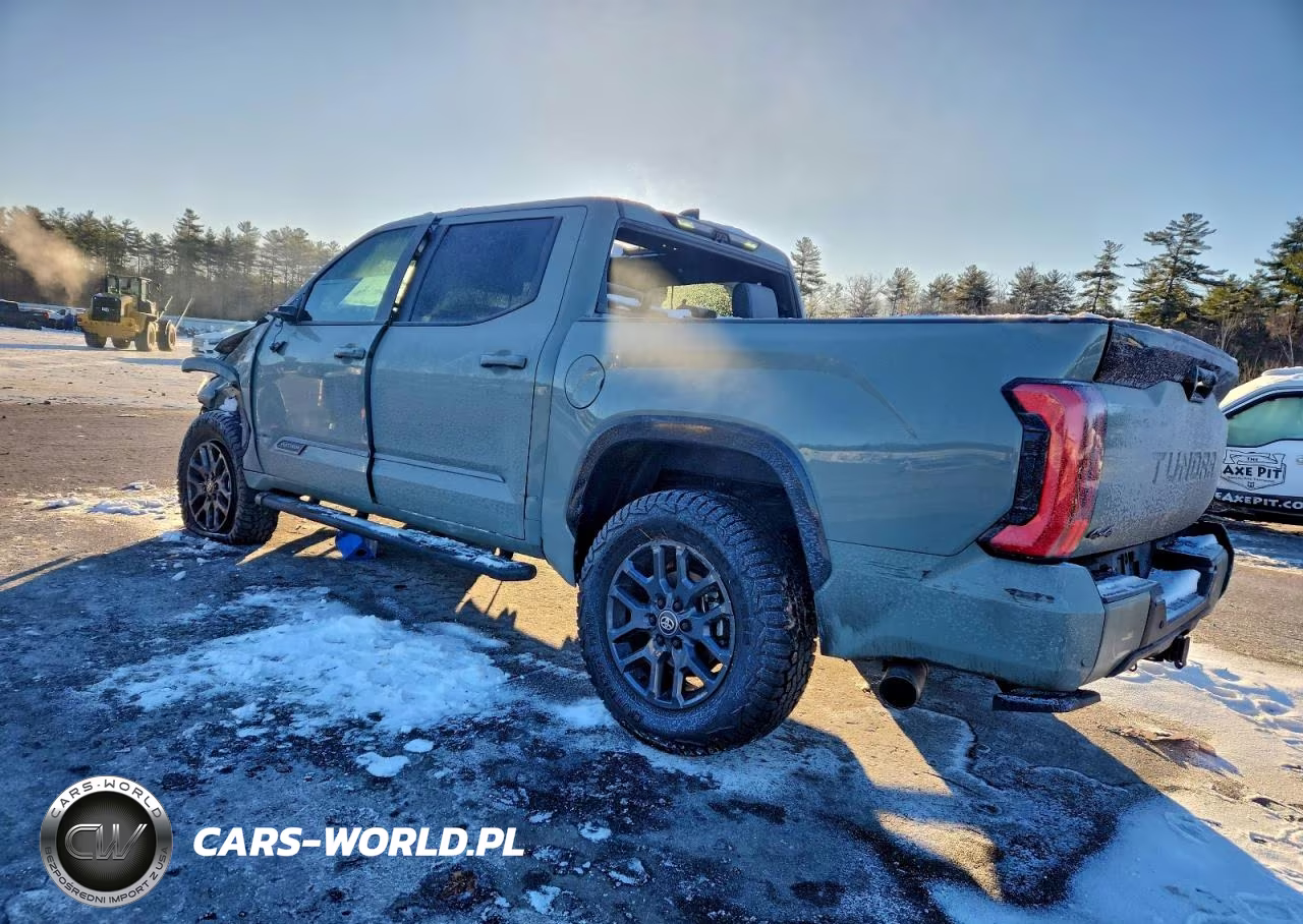 2025 Toyota Tundra Crewmax Platinum VIN:5TFNA5DB9SX302392 - 2