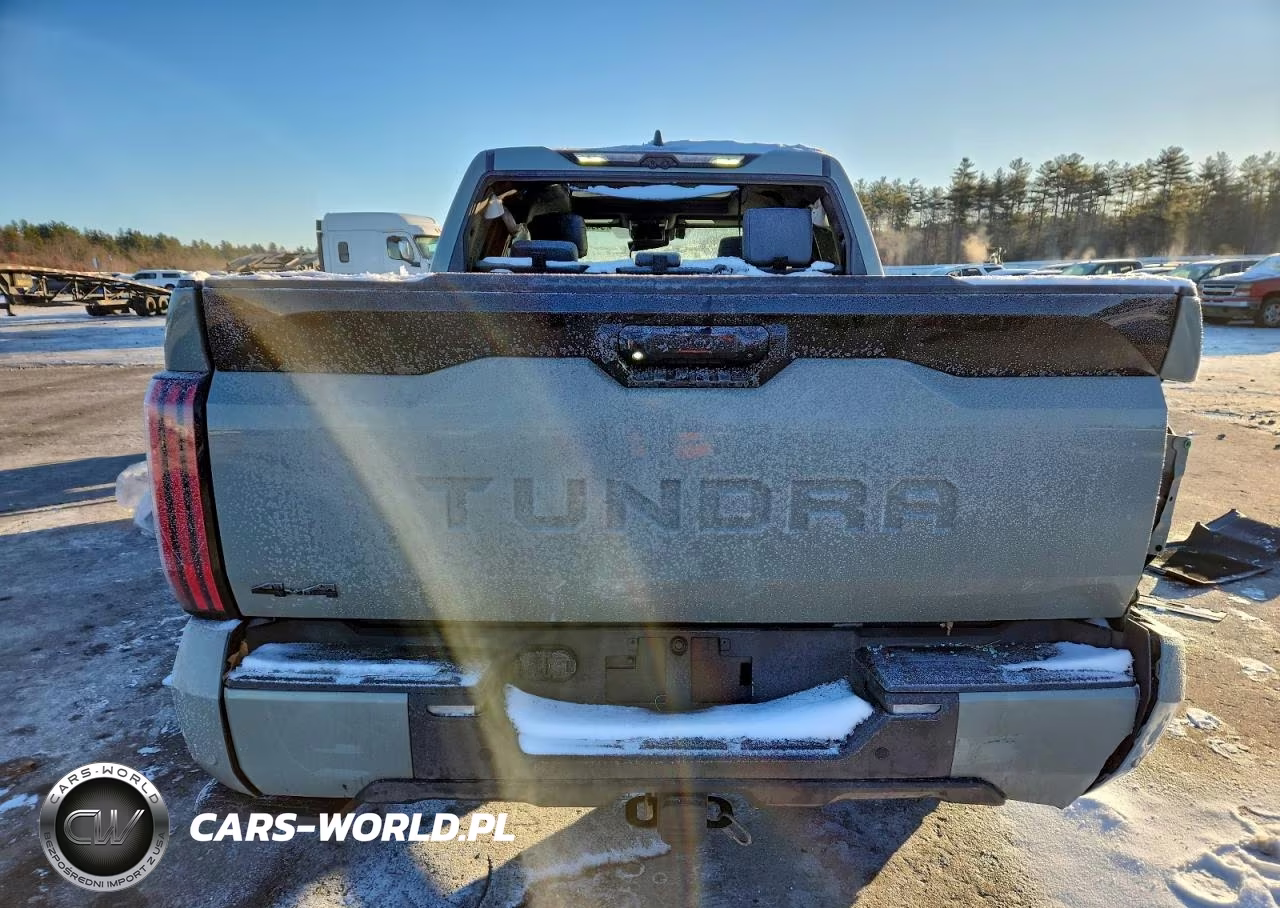 2025 Toyota Tundra Crewmax Platinum VIN:5TFNA5DB9SX302392 - 6