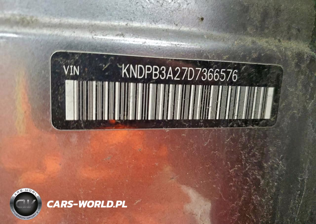 2013 Kia Sportage Base VIN:KNDPB3A27D7366576 - 13