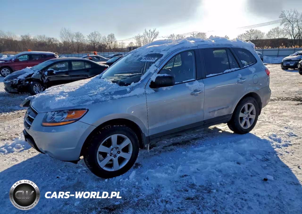 2009 Hyundai Santa Fe Se