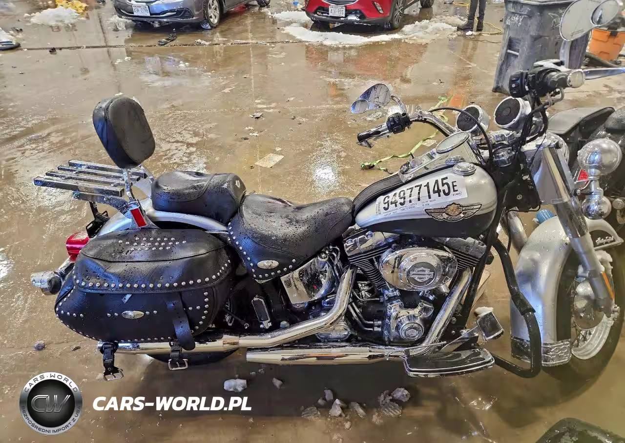 2003 Harley-Davidson Flstci Anniversary