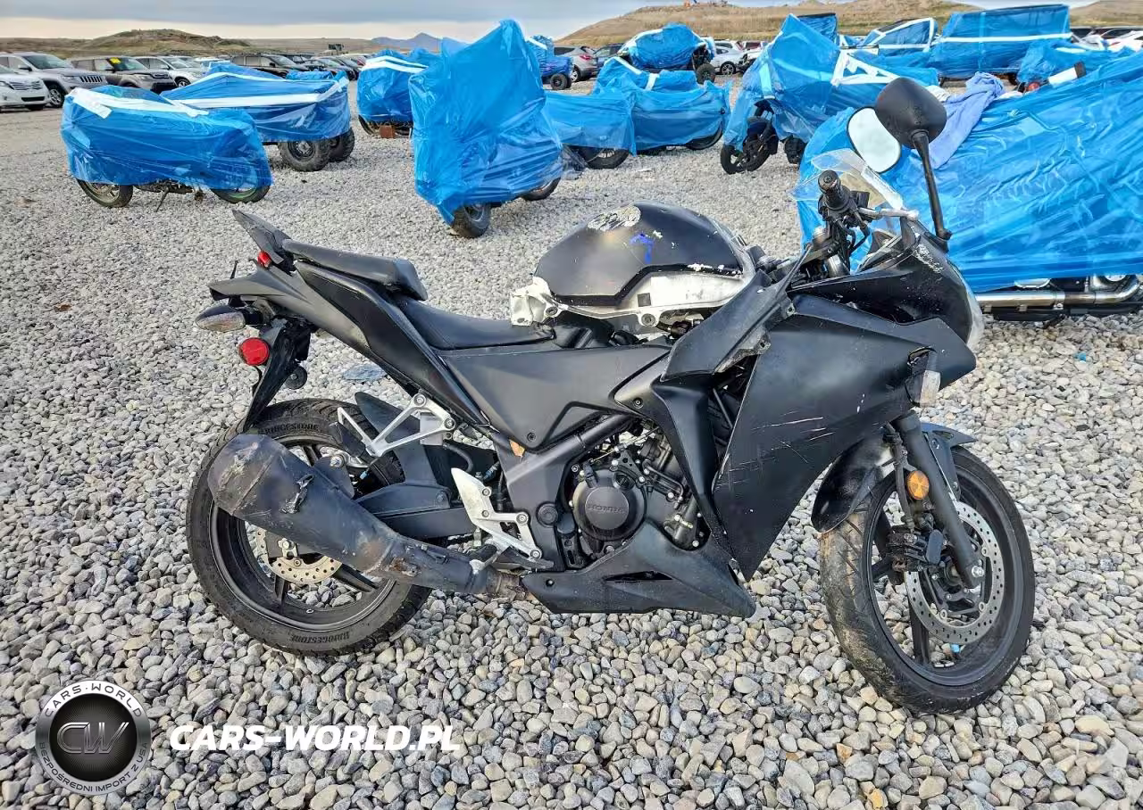 2013 Honda Cbr250 R