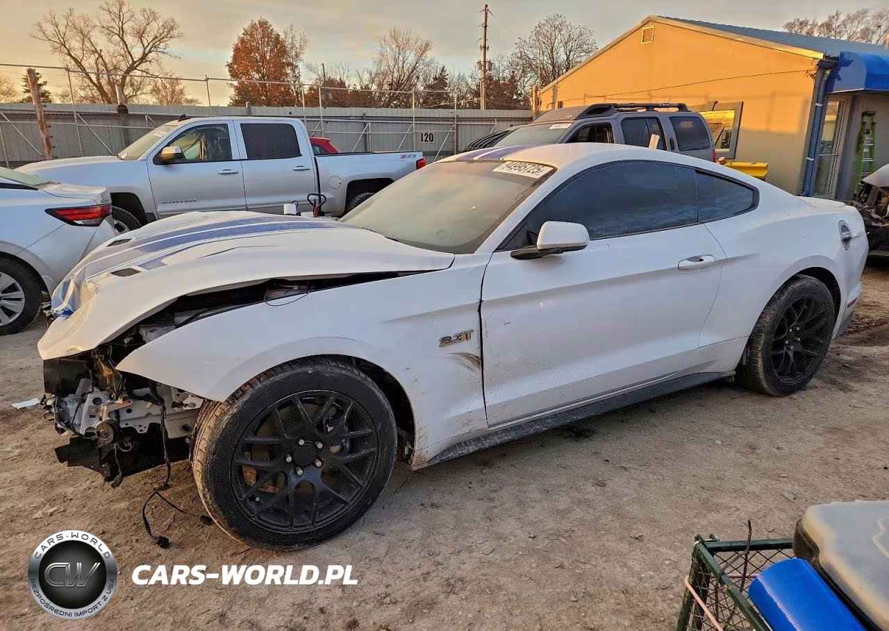 2019 Ford Mustang