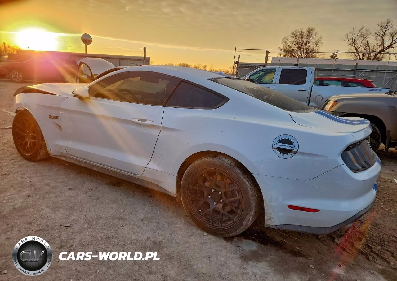 2019 Ford Mustang VIN:1FA6P8TH1K5175343 - 2