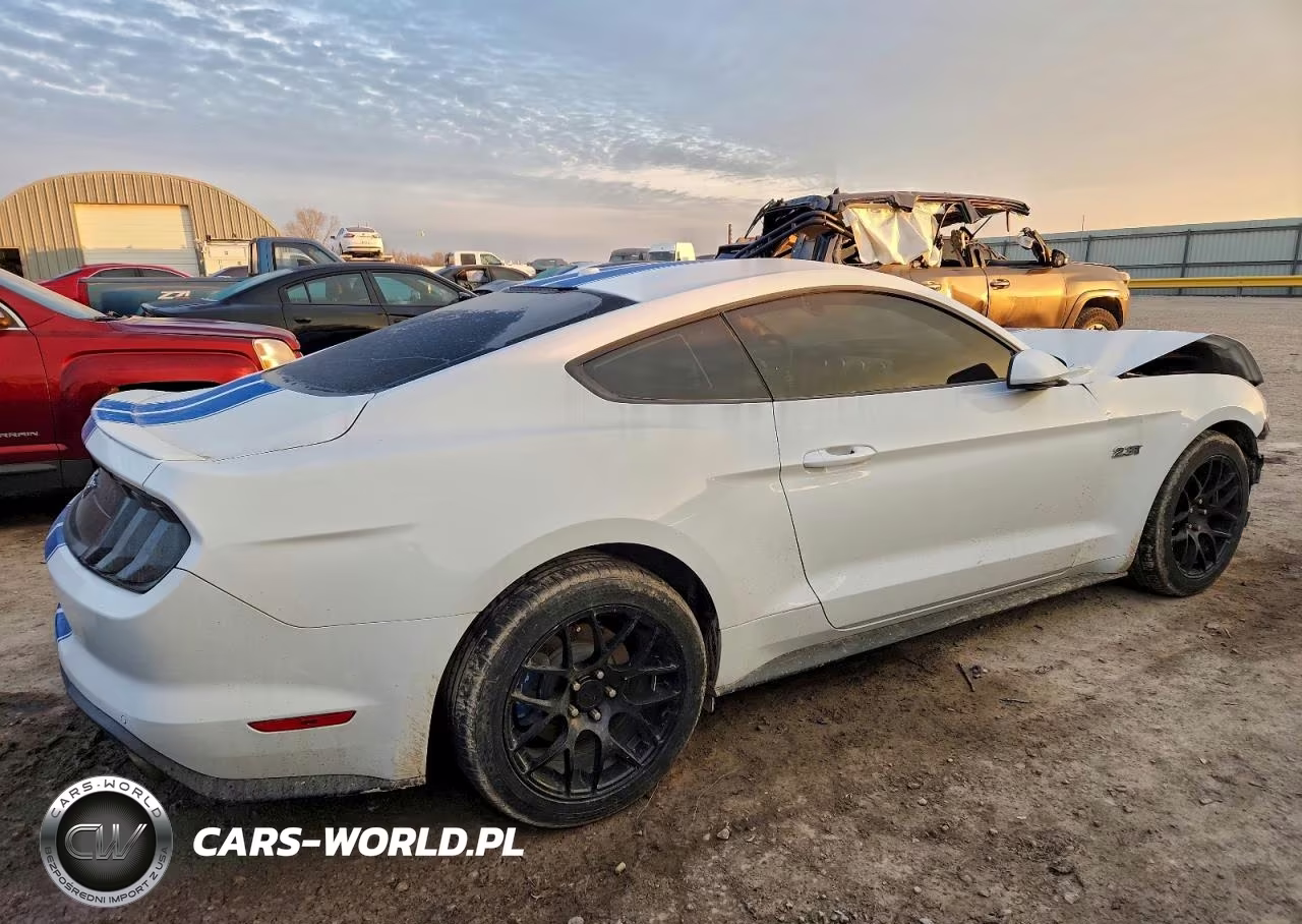 2019 Ford Mustang VIN:1FA6P8TH1K5175343 - 3