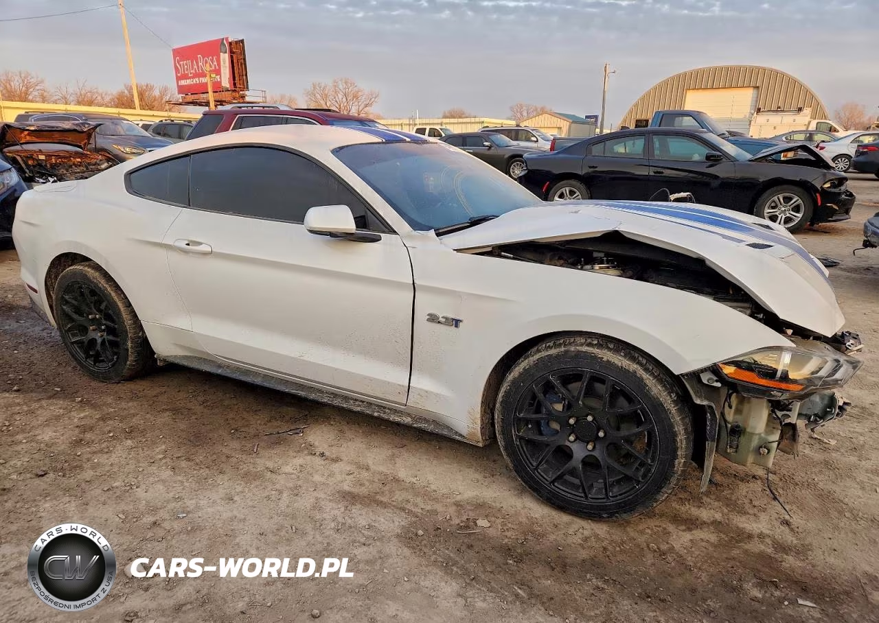 2019 Ford Mustang VIN:1FA6P8TH1K5175343 - 4