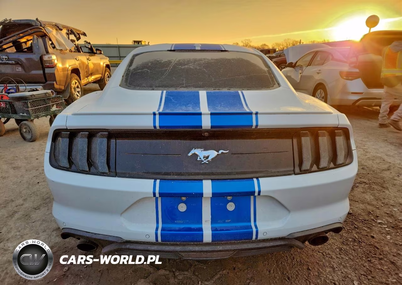 2019 Ford Mustang VIN:1FA6P8TH1K5175343 - 6